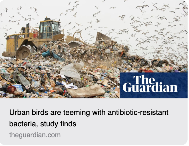 Why is the environmental impact of Pruex so important in the fight against AMR?