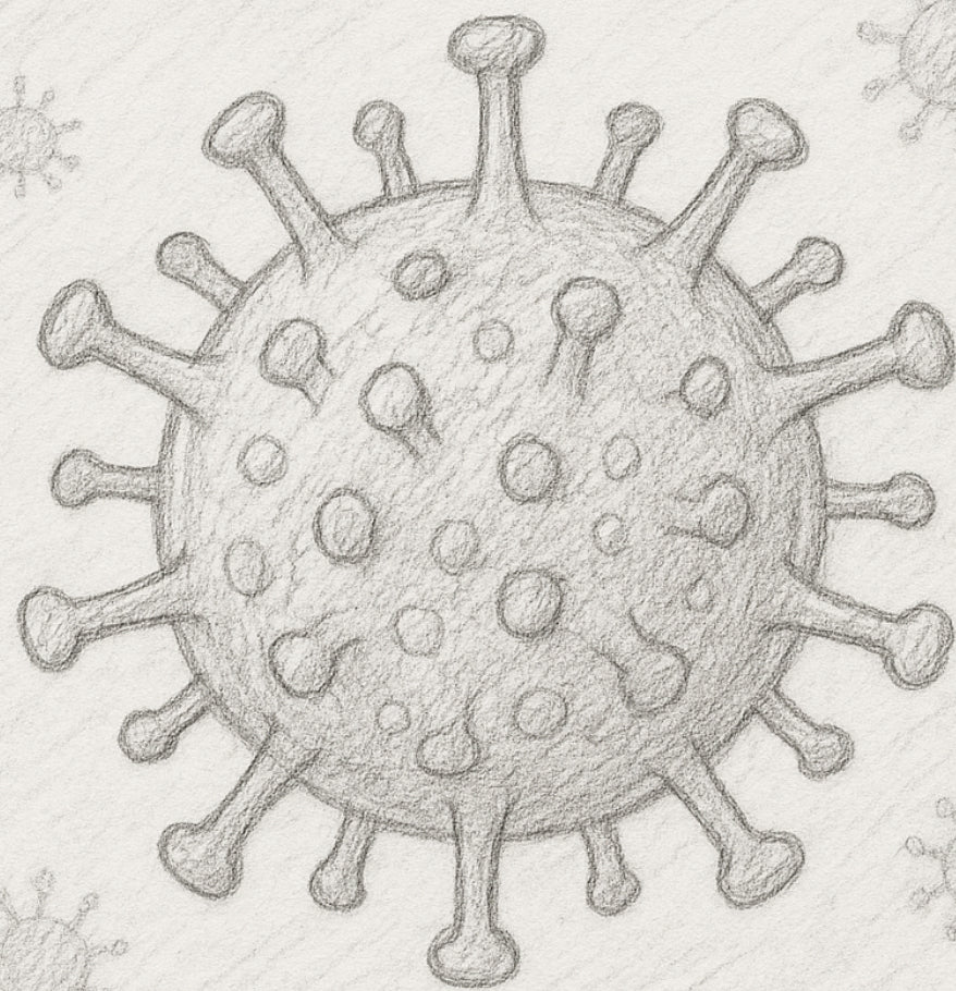 5 Common Mistakes Poultry Farmers Make with Bird Flu — and How Pruex Fixes What Disinfectants Can’t