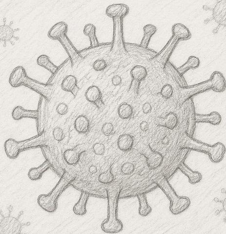 5 Common Mistakes Poultry Farmers Make with Bird Flu — and How Pruex Fixes What Disinfectants Can’t