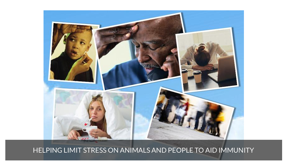 Soap or Alcohol hand gel with added good bacteria