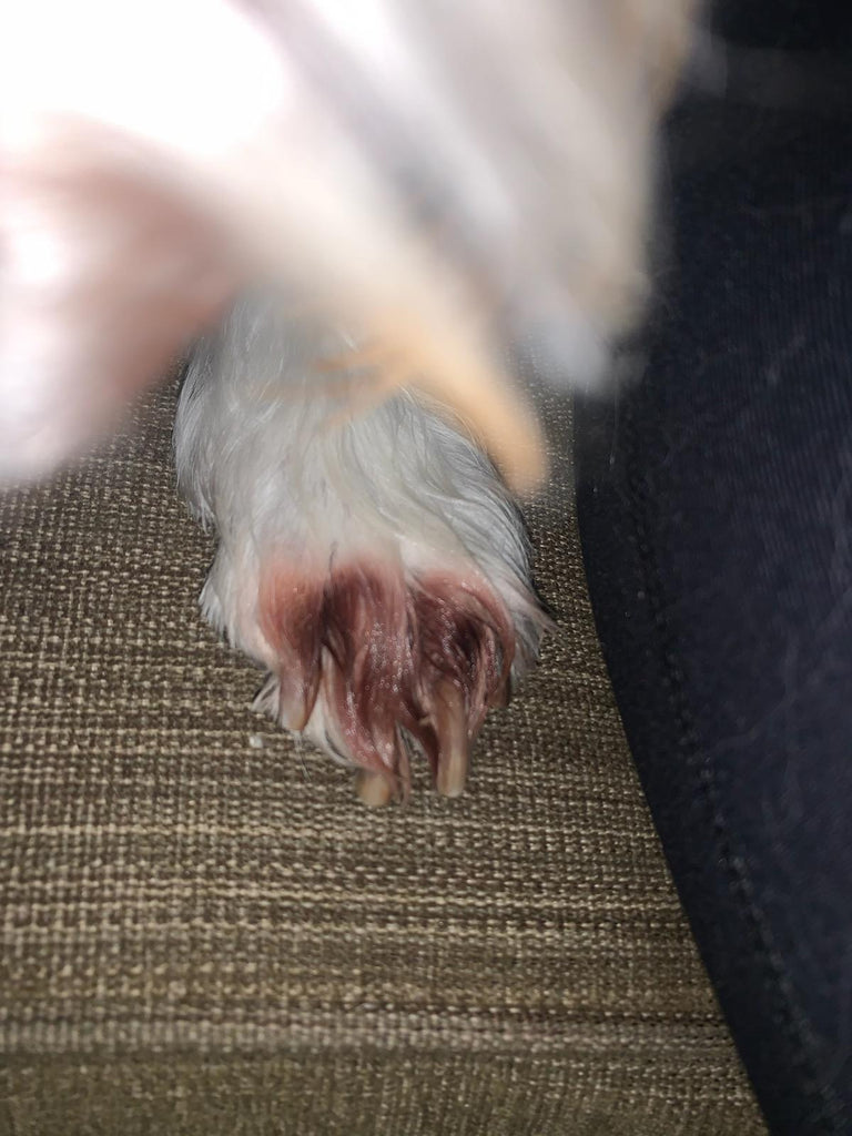 Allergen spray used post surgery