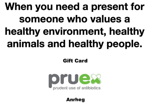 5.3 Gift Card