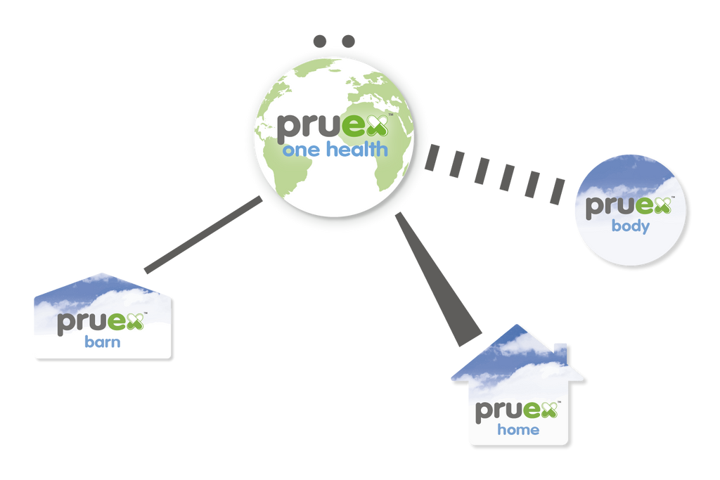 Pruex - One Health